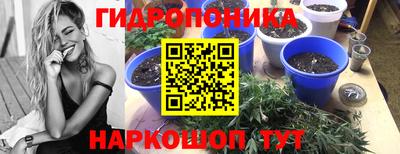 ALPHA-PVP Можга