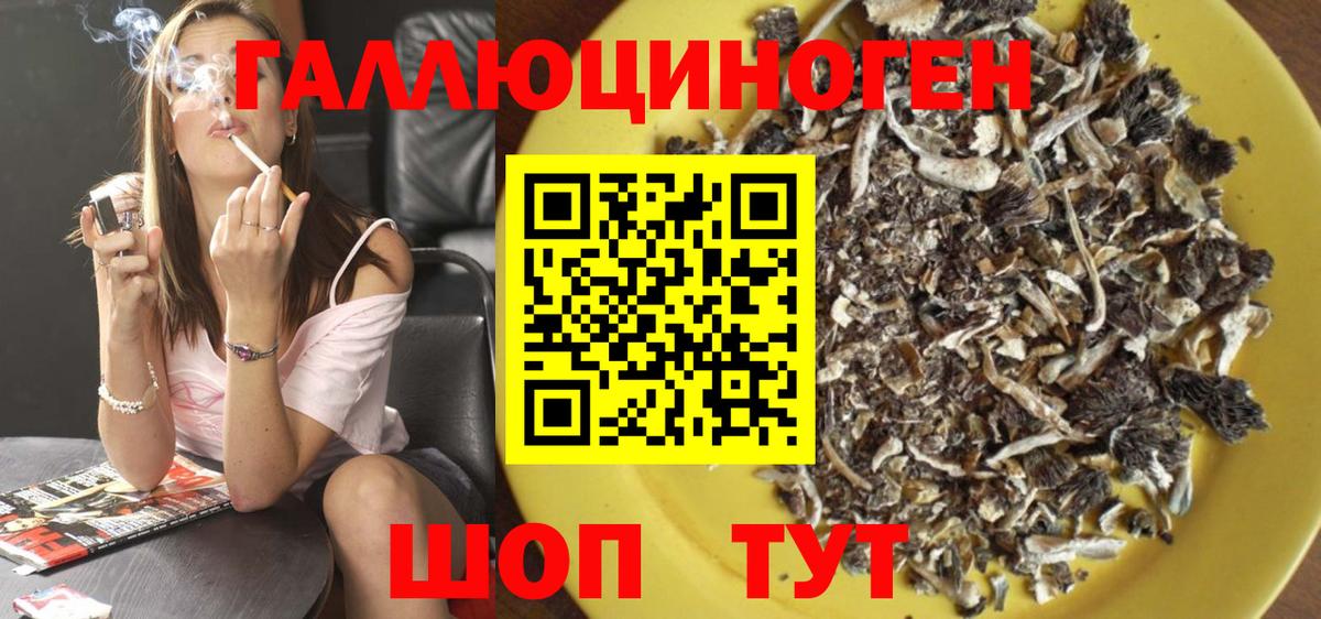 Псилоцибиновые грибы Psilocybine cubensis Шелехов
