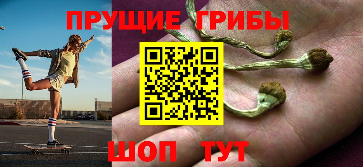 Псилоцибиновые грибы GOLDEN TEACHER  Галлюциногенные грибы GOLDEN TEACHER  Вход с VPN  Шелехов 